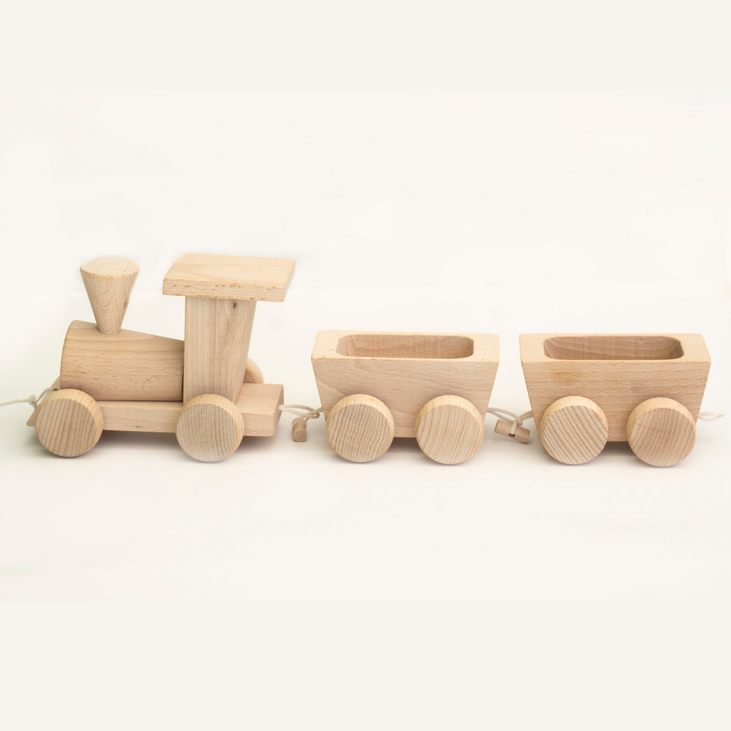 Pull along hot sale train toy