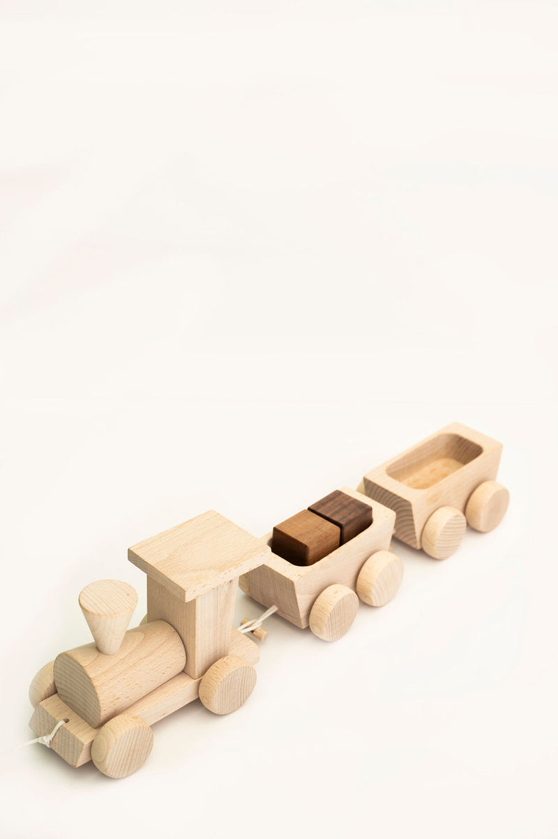 Handmade Wooden Train Pull Along